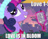 [Cat.] Love is in bloom