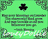 Irish Blessing II
