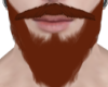 Kayden Beard Ginger