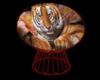 Tiger Chair With Poses