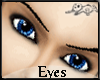 [N] Deluxe Blue Eyes M