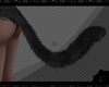 *Black Cat Tail*