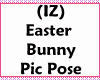 (IZ) Easter Bunny wPoses