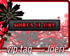 j| Whats It Like-