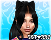 Wynter Black Hair