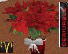 Christmas Poinsettia-drv