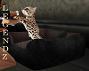 Fox/Cute Kitty w/Bed