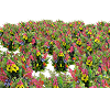 Moving Field of Flowers