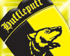Hufflepuff Shield
