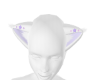 Lillac ears Cat