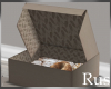 Rus Box of Bread/Bagels2