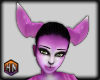 ears purple deer furry