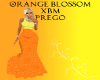 Orange Blossom XBM PREGO