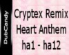 DC Heart Anthem Rmx P1
