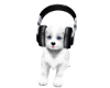 DJ SNOWY FURNITURE