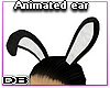 Animated Rabbit Ear