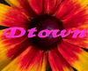 Dtown
