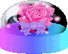 globed rose