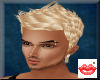 Robin Blond [F]