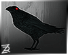 !R Black Crow Animated
