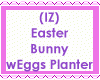 Easter Bunny wEggs Decor