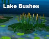 Lake Flower Reeds