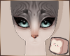 ⊹ Wrinkles Brows V1.2