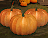 Fall Pumpkins