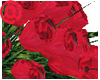 PP~Bouquet Rose Red