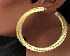 ! Gold Hoop earrings