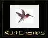 [KC]Anim Hummingbird (R)