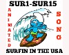 Surfin in the USA Anim