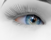 Blue Crystal  Sky eyes