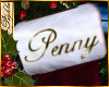 I~Stocking*Penny