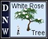 White Rose Tree
