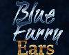 BLUE FURRY EARS