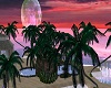 sunrise @ intimate isle