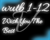 V: Wish You The Best