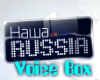 NASHA_RUSSIA_VOICE_BOX_2