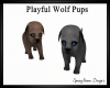 Playful Wolf Pups x2