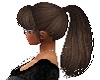 lng brwn ponytail hair