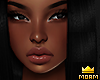 Keddy T8