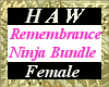 Remembrance Ninja (B)