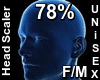 F/M Head Scaler 78%