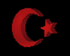 [UB] TURK 