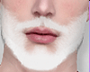 Beard