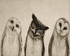 M* Three Owls