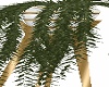 iK* Plant +