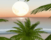 Desert Sunset Island