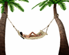 hammock